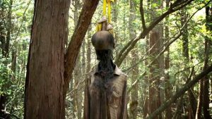 Fakta Tersembunyi Dari Hutan Terseram Aokigahara